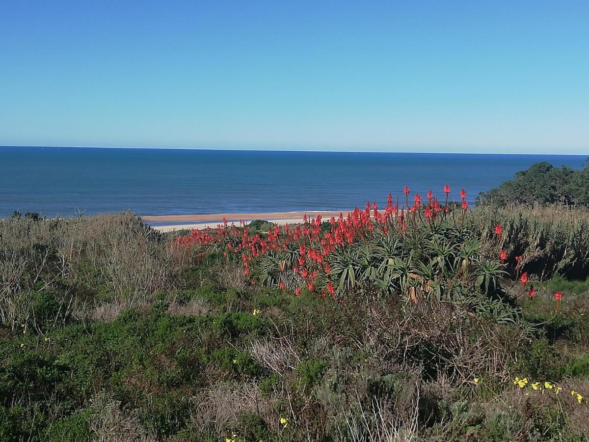 Appartamento Pearl of Nazaré Esterno foto